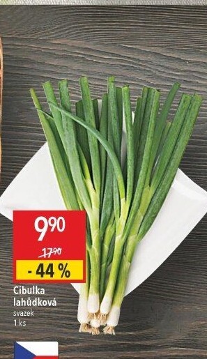 Jarní cibule svazek