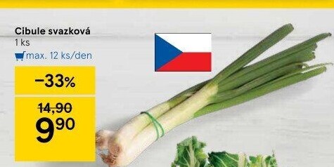 Jarní cibule svazek
