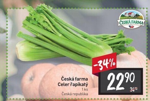 Celer řapíkatý Česká farma