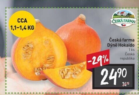 Dýně Hokaido Česká farma