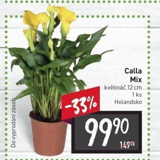 Kala - Calla