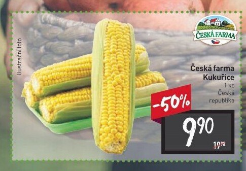 Kukuřice klas Česká farma