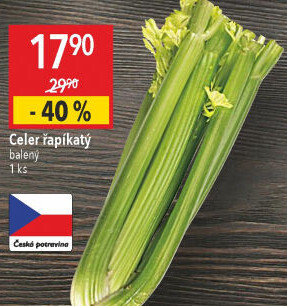 Celer řapíkatý
