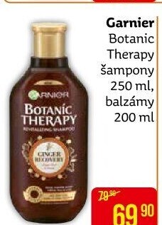 Šampon Botanic Therapy Garnier