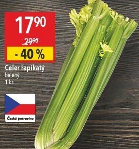 Celer řapíkatý