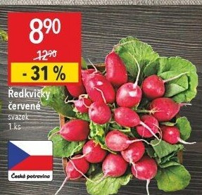 Ředkvičky svazek