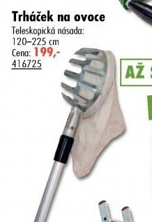 Česáček ovoce