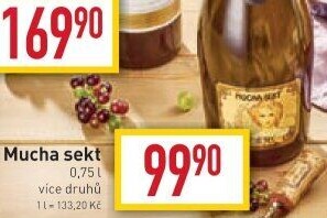 Sekty Mucha