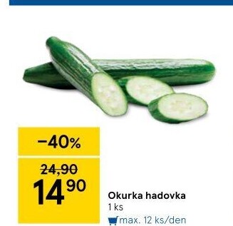 Okurka hadovka