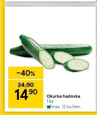 Okurka hadovka