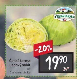 Salát ledový Česká farma