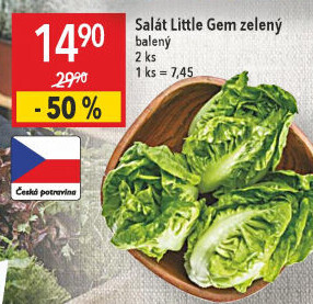 Salát little gem