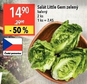 Salát little gem
