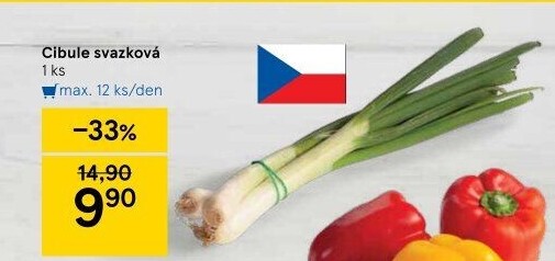 Jarní cibule svazek