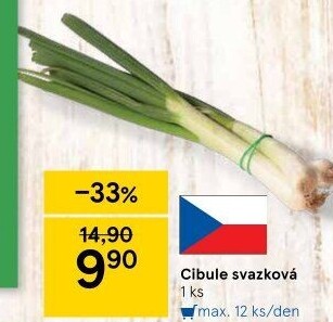 Jarní cibule svazek