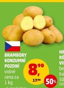 Brambory konzumní pozdní