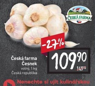 Česnek Česká farma