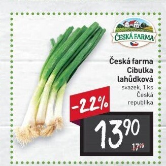 Jarní cibule svazek Česká farma