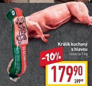 Králík Rabbit