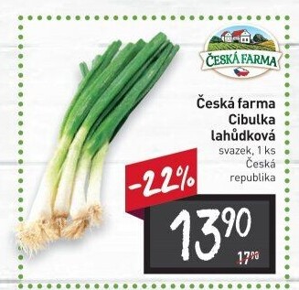 Jarní cibule svazek Česká farma