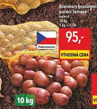 Brambory červené konzumní pozdní