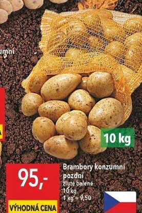 Brambory konzumní pozdní
