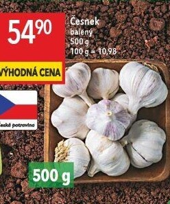 Česnek