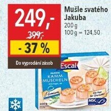 Mušle svatého Jakuba mražené Escal