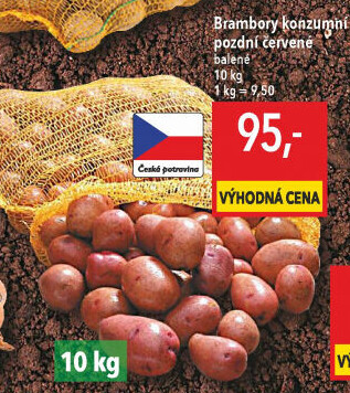 Brambory červené konzumní pozdní