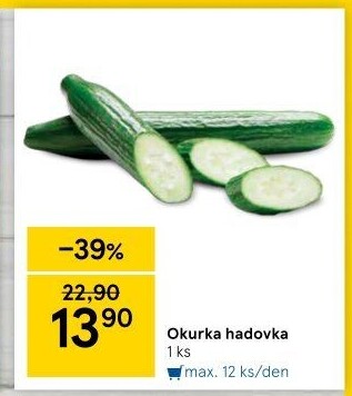Okurka hadovka