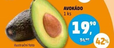 Avokádo