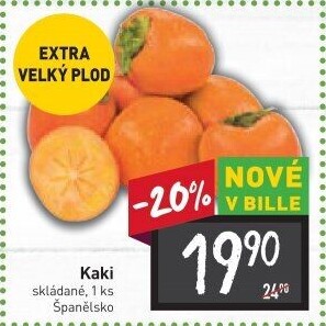 Kaki