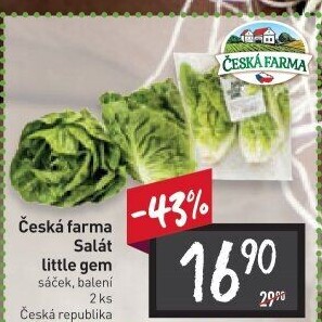 Salát little gem Česká farma
