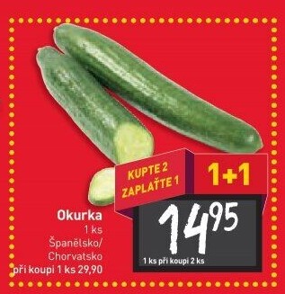 Okurka hadovka