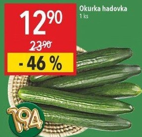 Okurka hadovka