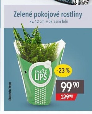 Mix zelených rostlin