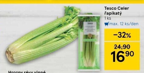 Celer řapíkatý Tesco
