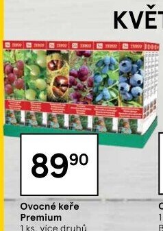 Sazenice ovocných keříků Tesco