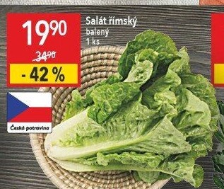 Salát římský