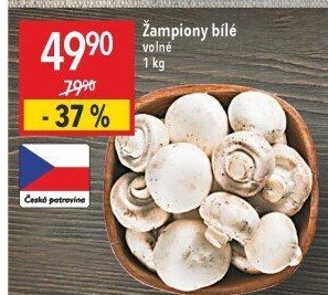 Žampiony bílé