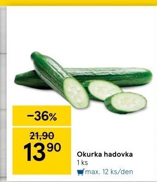 Okurka hadovka