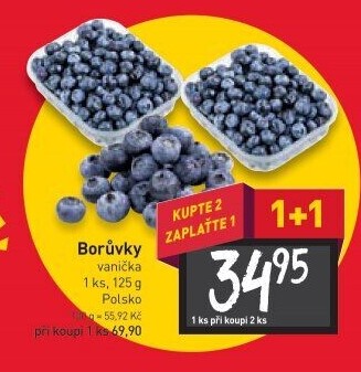 Borůvky