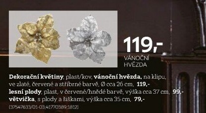 DEKORAČNÍ KVĚTINY
