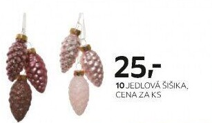 JEDLOVÁ ŠIŠKA