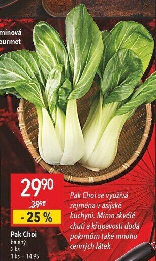 Salát Pak Choi