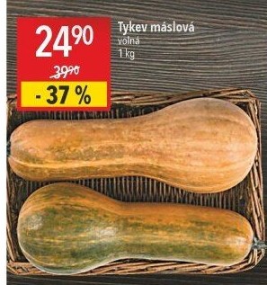 Dýně máslová