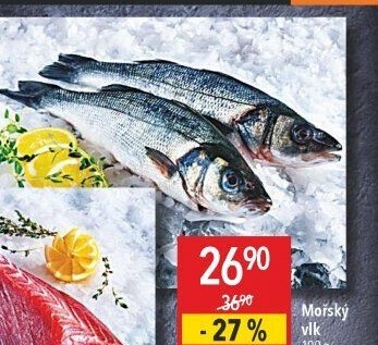 Mořský vlk