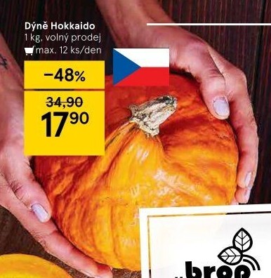 Dýně Hokkaidó