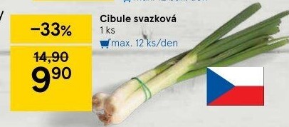 Jarní cibule svazek