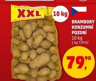 Brambory konzumní pozdní